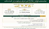 پیش‌بینی تولید ۲۲۵۰ تن عسل در کردستان